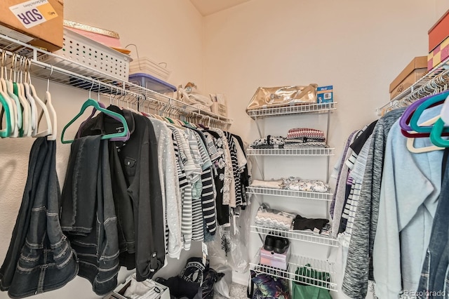 view of spacious closet