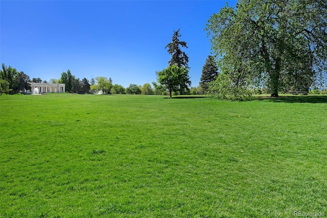 1144 N Ogden St Unit 304, Denver, CO 80218 - view of grassy yard
