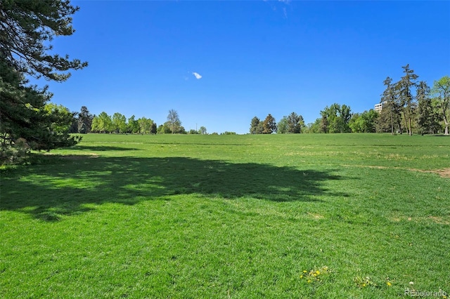 1144 N Ogden St Unit 304, Denver, CO 80218 - view of green lawn featuring a view of countryside