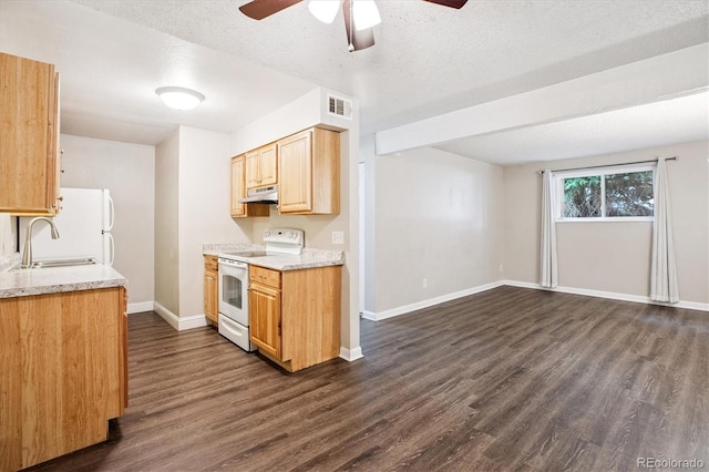 16359 W 10th Ave Unit 2, Golden, CO 80401 - kitchen with white electric range oven, under cabinet range hood, dark wood-type flooring, ceiling fan, and light brown cabinets