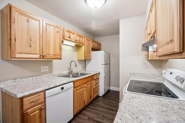 16359 W 10th Ave Unit 2, Golden, CO 80401 - kitchen with white appliances, under cabinet range hood, dark wood finished floors, and light countertops