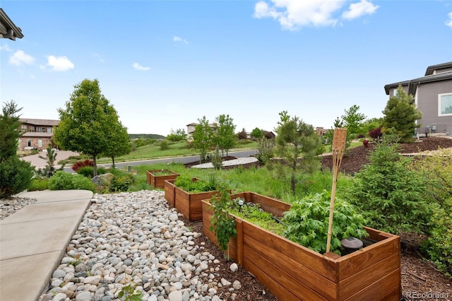 5608 Raintree Dr, Parker, CO 80134 - view of yard featuring a garden