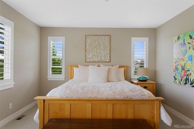 5608 Raintree Dr, Parker, CO 80134 - bedroom with carpet flooring and multiple windows