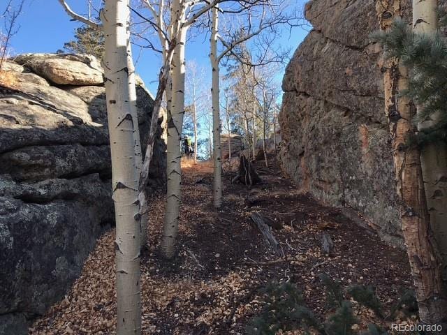 4019 Buffalo Ridge Rd, Como, CO 80432