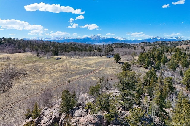 4019 Buffalo Ridge Rd, Como, CO 80432