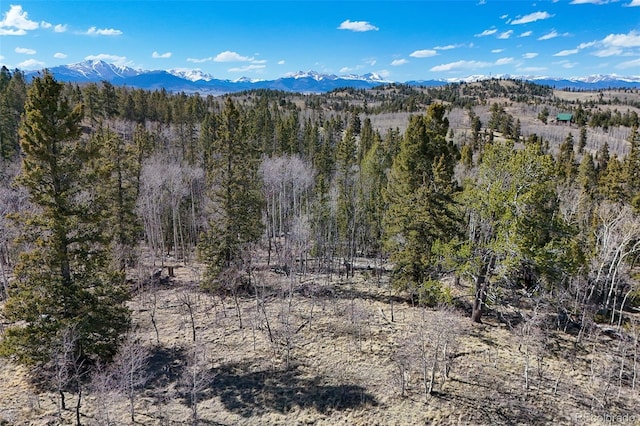 4019 Buffalo Ridge Rd, Como, CO 80432