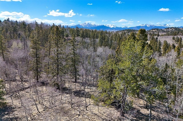 4019 Buffalo Ridge Rd, Como, CO 80432