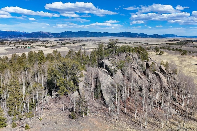 4019 Buffalo Ridge Rd, Como, CO 80432