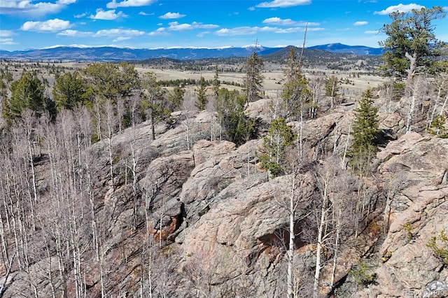 4019 Buffalo Ridge Rd, Como, CO 80432