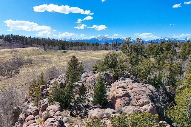 4019 Buffalo Ridge Rd, Como, CO 80432