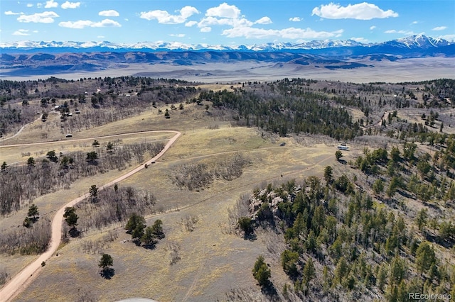 4019 Buffalo Ridge Rd, Como, CO 80432