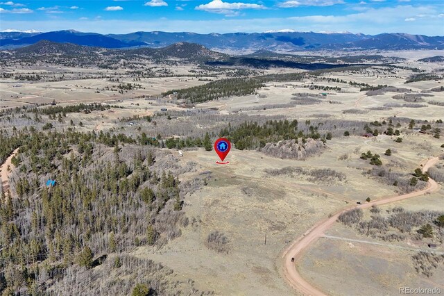 4019 Buffalo Ridge Rd, Como, CO 80432