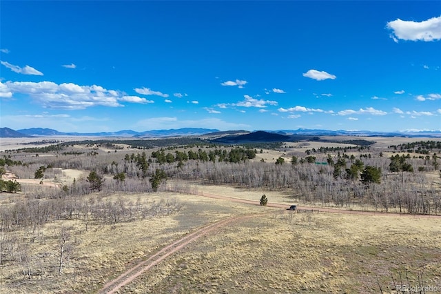 4019 Buffalo Ridge Rd, Como, CO 80432