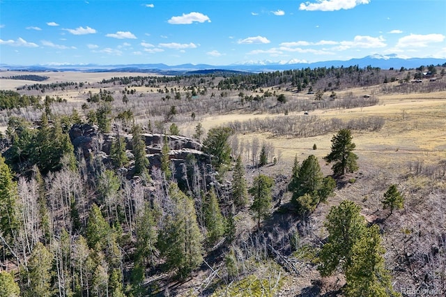 4019 Buffalo Ridge Rd, Como, CO 80432