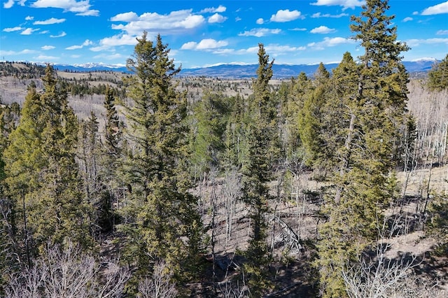 4019 Buffalo Ridge Rd, Como, CO 80432