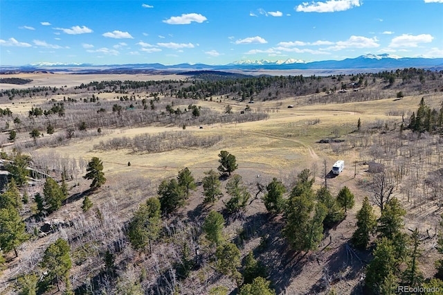 4019 Buffalo Ridge Rd, Como, CO 80432