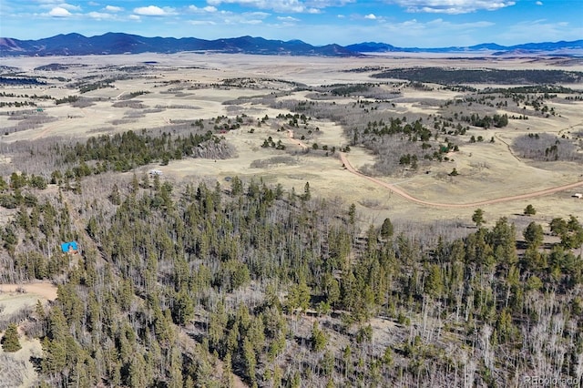 4019 Buffalo Ridge Rd, Como, CO 80432