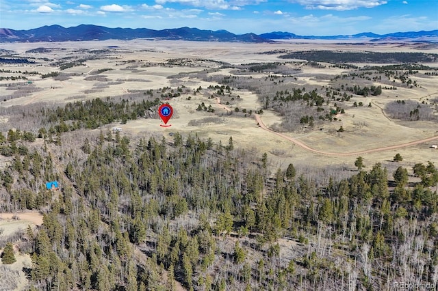 4019 Buffalo Ridge Rd, Como, CO 80432