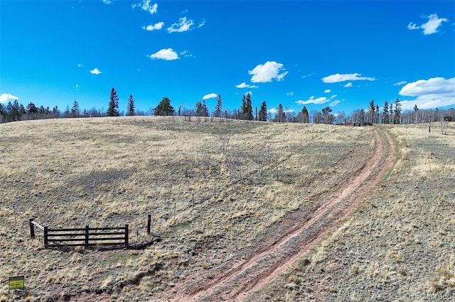 4019 Buffalo Ridge Rd, Como, CO 80432