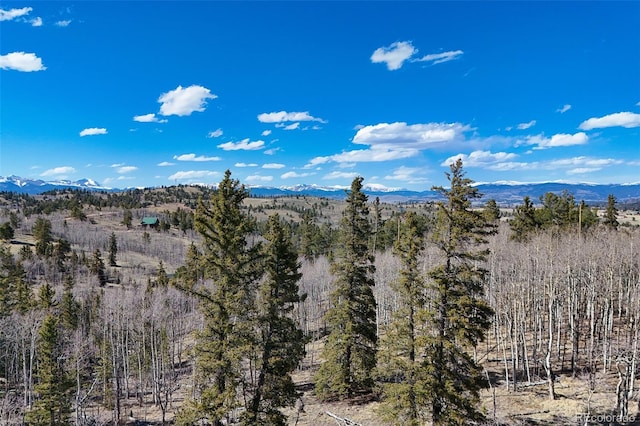 4019 Buffalo Ridge Rd, Como, CO 80432
