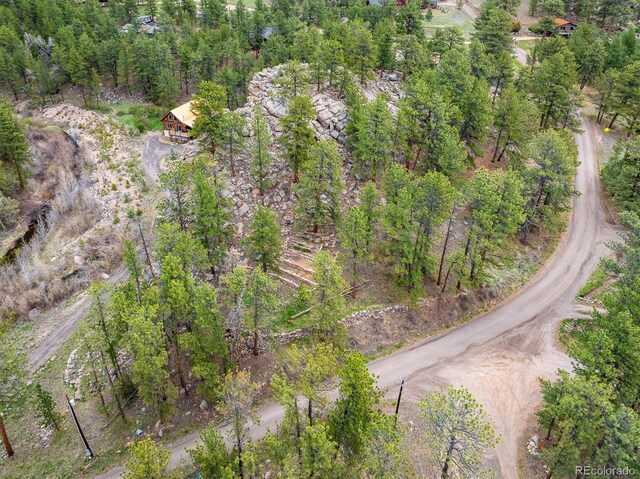 1289 Kiowa Rd, Lyons, CO 80540 - photo 3