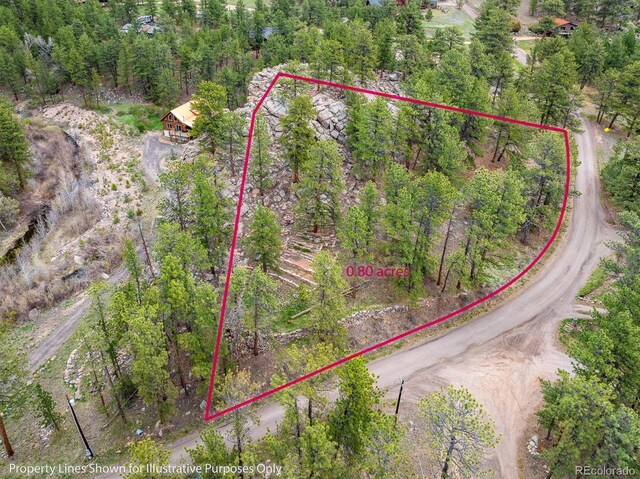 1289 Kiowa Rd, Lyons, CO 80540 - photo 4