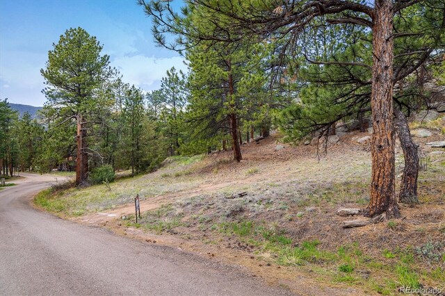 1289 Kiowa Rd, Lyons, CO 80540 - photo 5