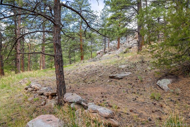 1289 Kiowa Rd, Lyons, CO 80540 - photo 7
