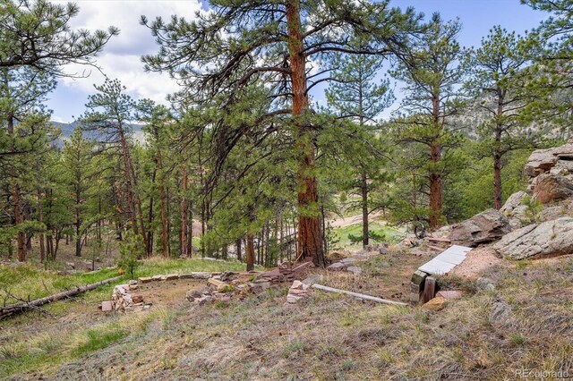 1289 Kiowa Rd, Lyons, CO 80540 - photo 8