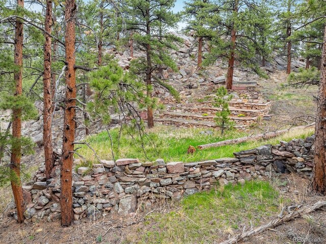 1289 Kiowa Rd, Lyons, CO 80540 - photo 9