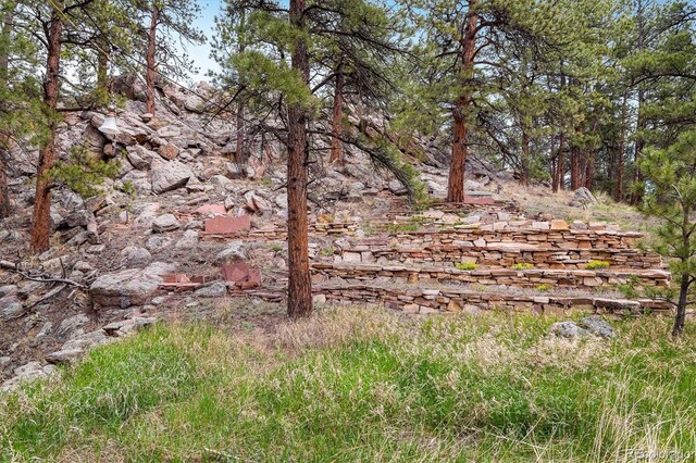 1289 Kiowa Rd, Lyons, CO 80540 - photo 11