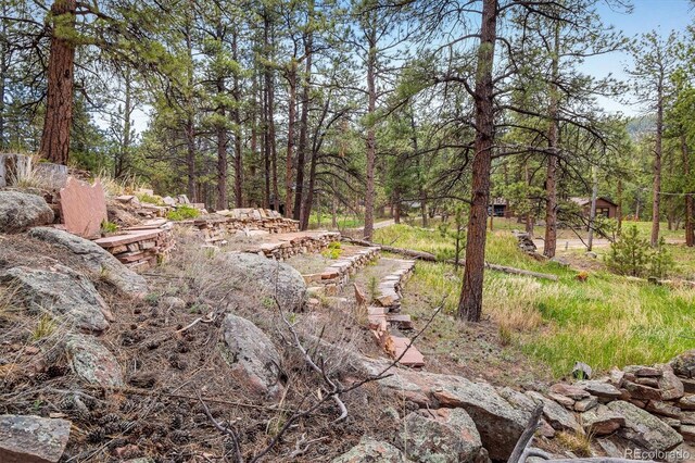 1289 Kiowa Rd, Lyons, CO 80540 - photo 12