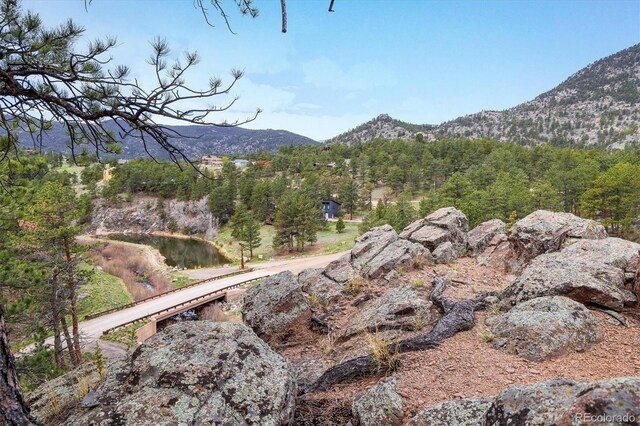 1289 Kiowa Rd, Lyons, CO 80540 - photo 15