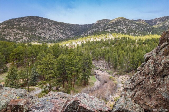 1289 Kiowa Rd, Lyons, CO 80540 - photo 16