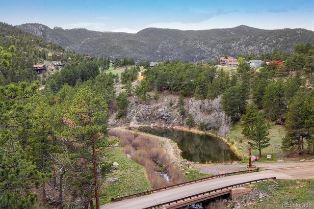 1289 Kiowa Rd, Lyons, CO 80540 - photo 17