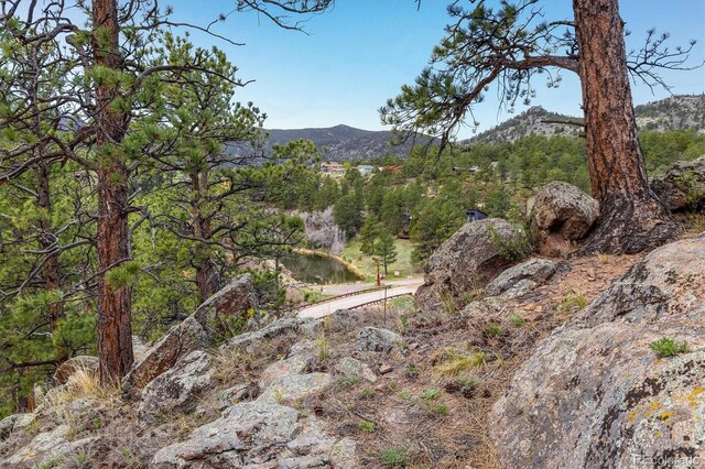 1289 Kiowa Rd, Lyons, CO 80540 - photo 18