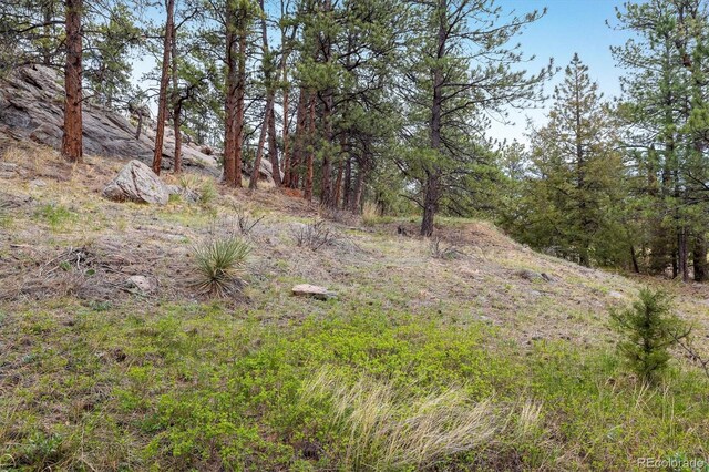 1289 Kiowa Rd, Lyons, CO 80540 - photo 20
