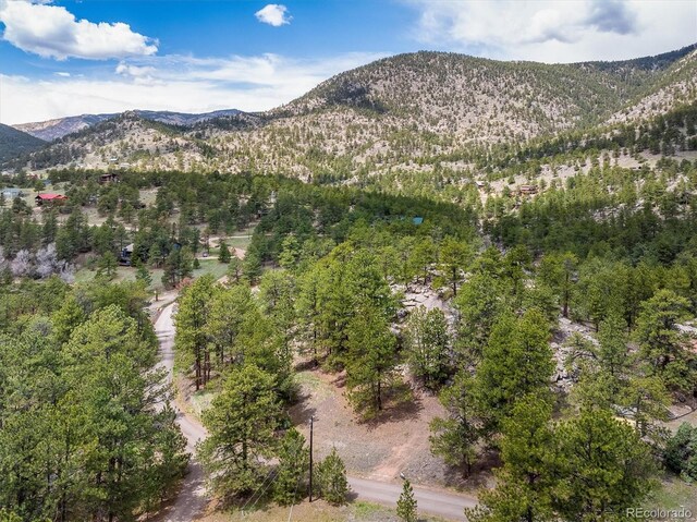 1289 Kiowa Rd, Lyons, CO 80540 - photo 21