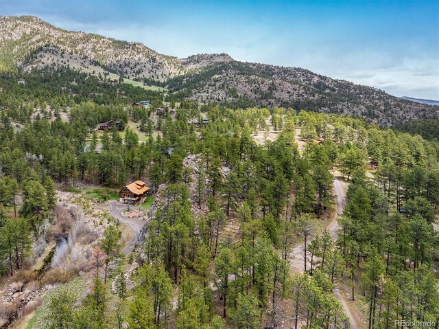 1289 Kiowa Rd, Lyons, CO 80540 - photo 22