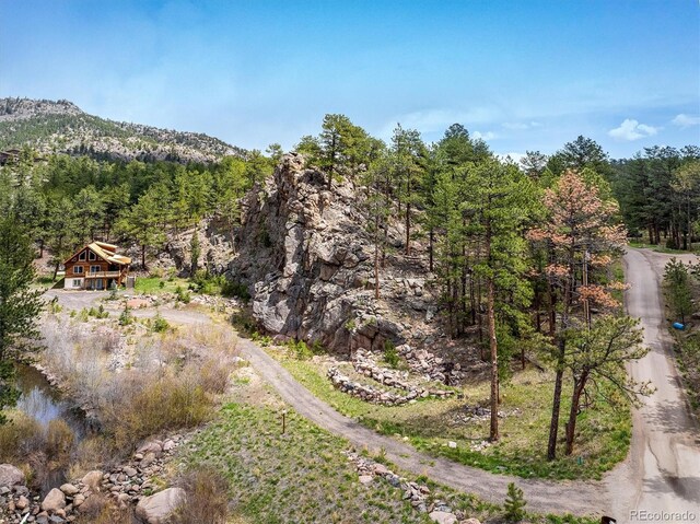 1289 Kiowa Rd, Lyons, CO 80540 - photo 23