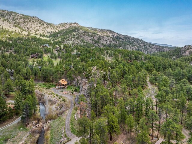 1289 Kiowa Rd, Lyons, CO 80540 - photo 24