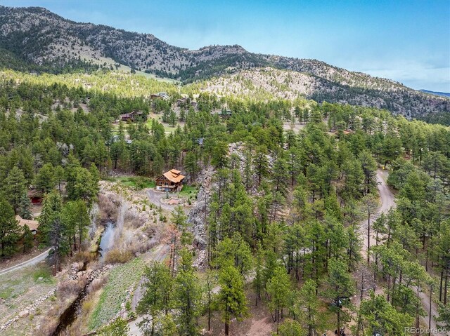 1289 Kiowa Rd, Lyons, CO 80540 - photo 25