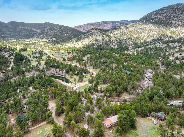 1289 Kiowa Rd, Lyons, CO 80540 - photo 27
