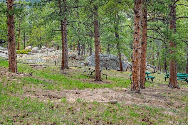 1289 Kiowa Rd, Lyons, CO 80540 - photo 36
