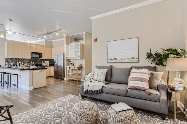 living area with wood finished floors and ornamental molding