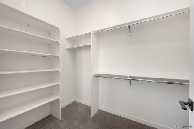 spacious closet featuring dark carpet