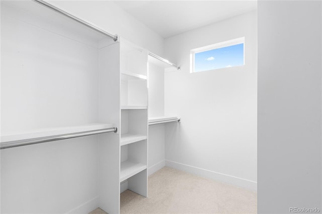 spacious closet with carpet