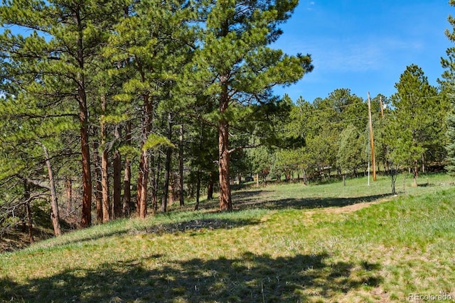 485 E Kelly Rd, Boulder, CO 80302 - photo 5