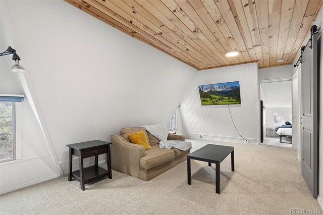 1264 Beaver Brook Canyon Rd, Evergreen, CO 80439 - photo 17