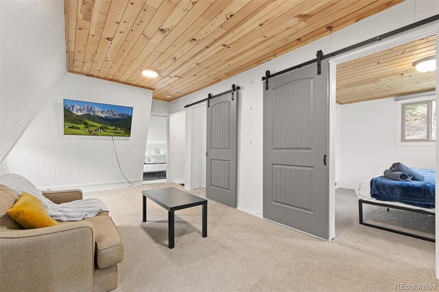 1264 Beaver Brook Canyon Rd, Evergreen, CO 80439 - photo 18